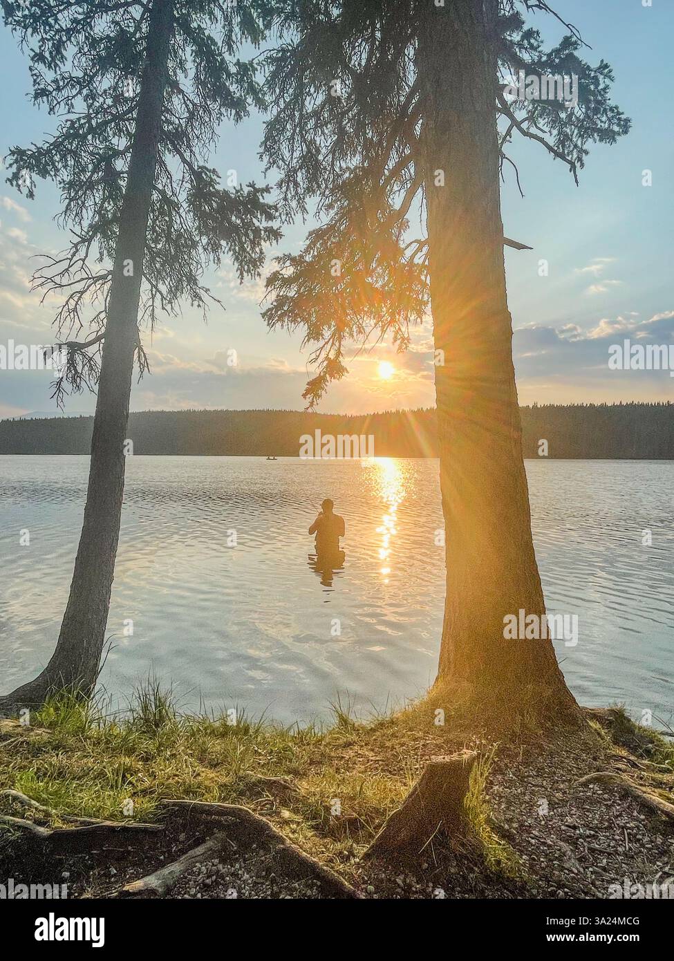 Une personne se tient à la taille dans un lac calme au coucher du soleil, encadrée par de grands arbres. Le soleil doré jette une lumière chaude sur l'eau, créant un calme et réf Banque D'Images