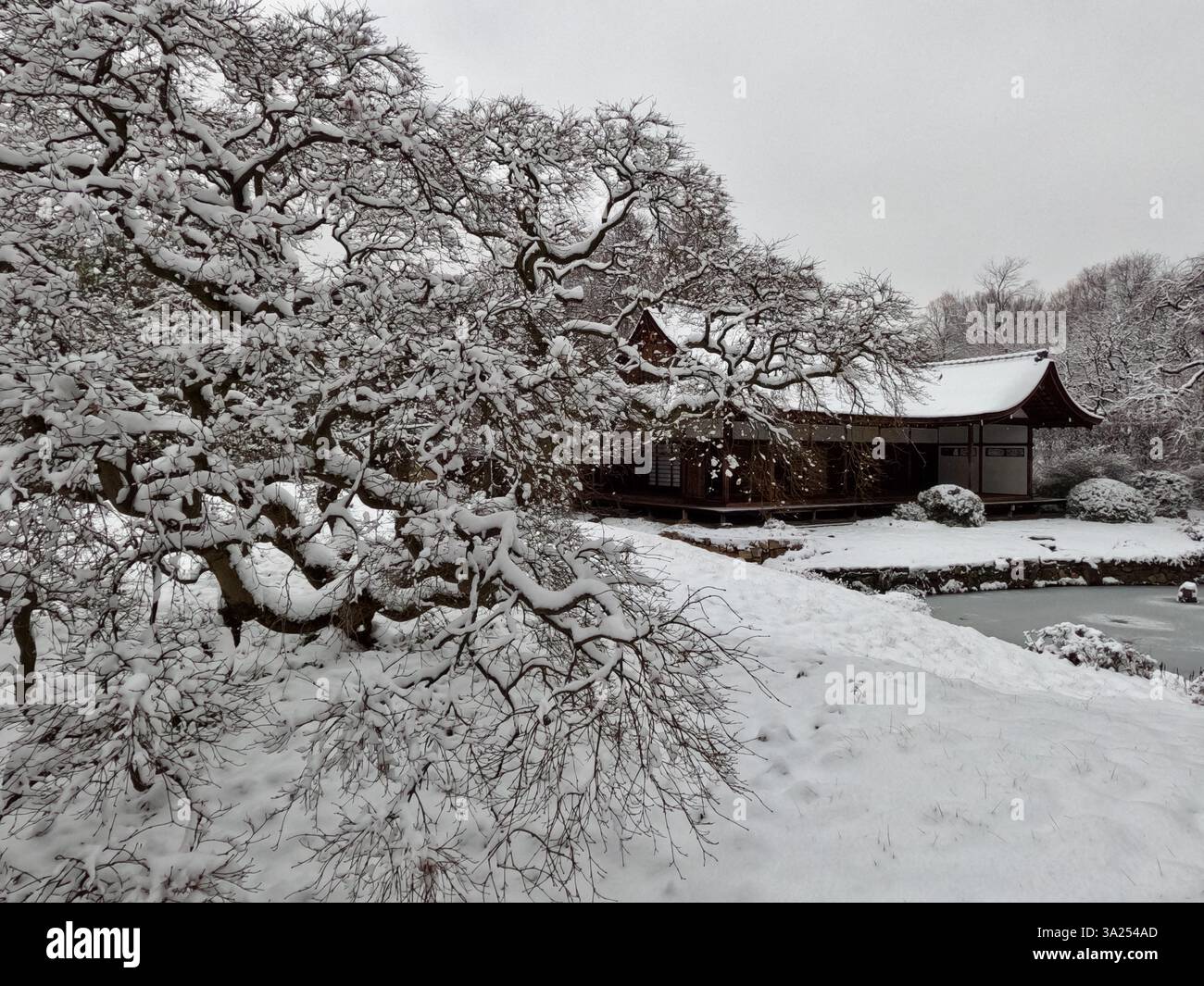 La neige recouvre le paysage autour de Shofuso, la maison japonaise du Fairmount Park à Philadelphie. Banque D'Images
