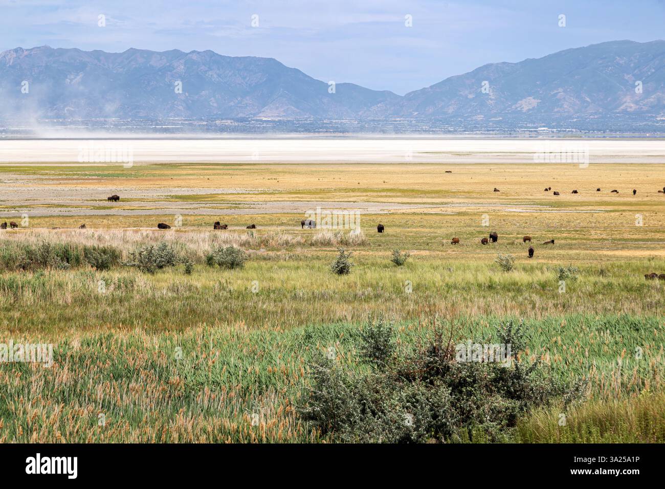 Antelope Island State Park, Utah Banque D'Images