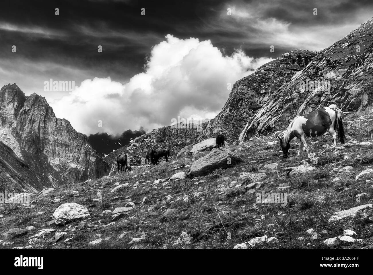 Des paysages et des photos de voyage époustouflants capturant la beauté de la nature, l'aventure et les vues panoramiques - parfait pour le tourisme, les éditoriaux et le marketing. Banque D'Images