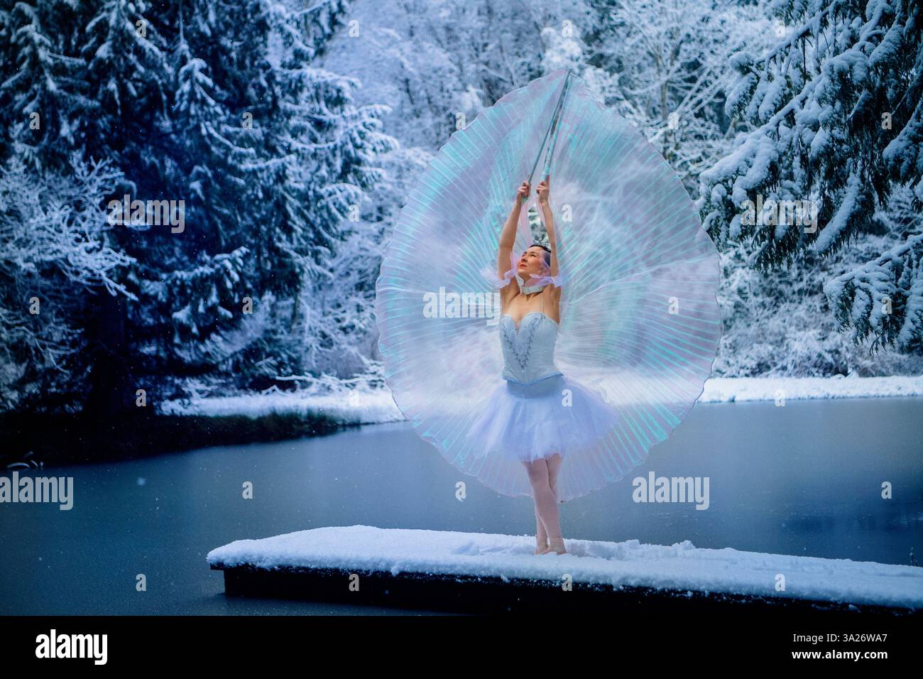Ballerine en tutu blanc pose gracieusement sur une jetée enneigée au bord d'un lac forestier gelé. WA, ÉTATS-UNIS Banque D'Images