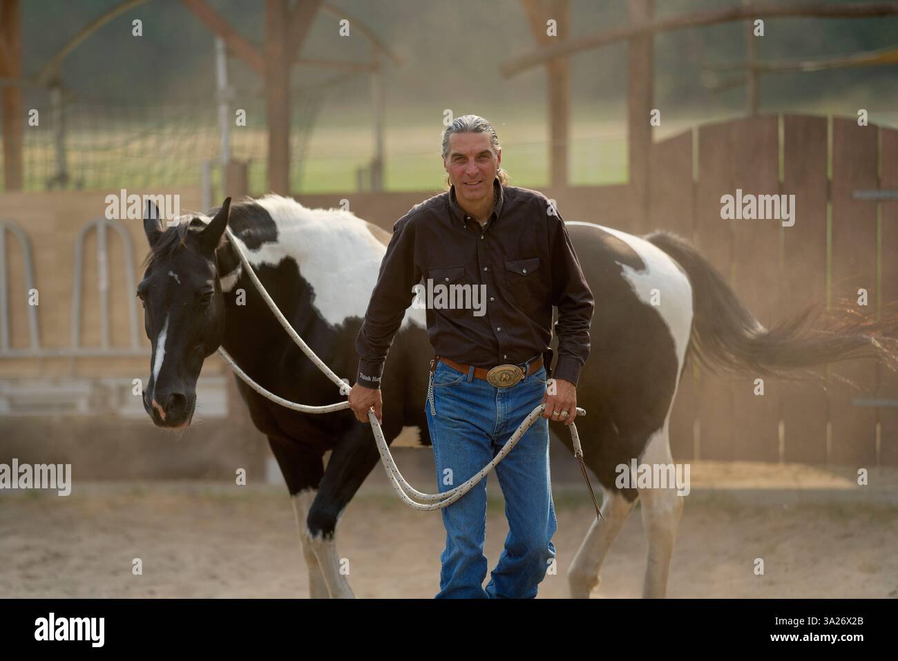 Homme menant un cheval noir et blanc dans un cadre extérieur poussiéreux avec une clôture en bois. Brandebourg, Allemagne Banque D'Images