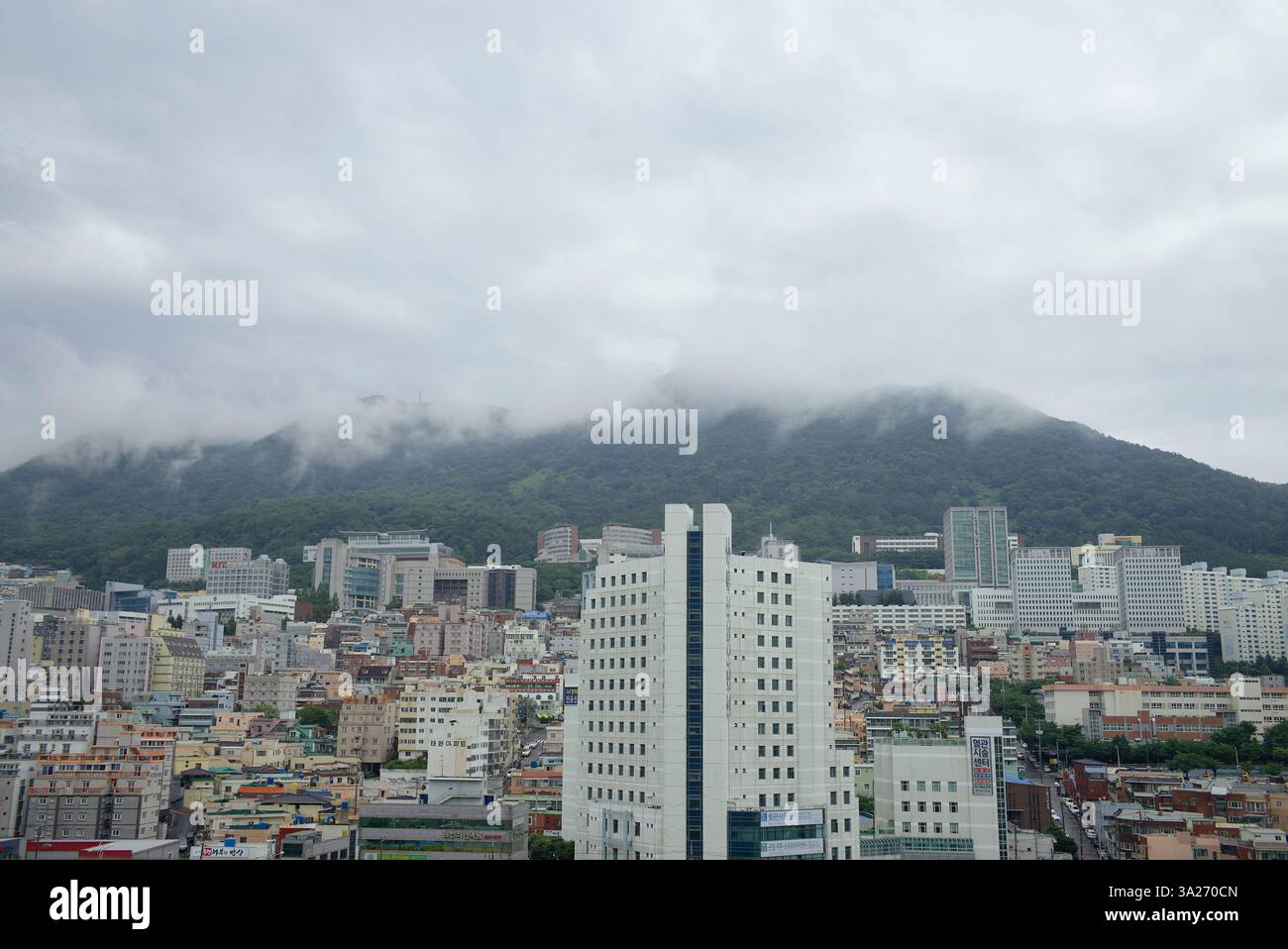 Paysage urbain couvert avec de hauts bâtiments et des montagnes verdoyantes entourées de brume. Busan, Corée Banque D'Images