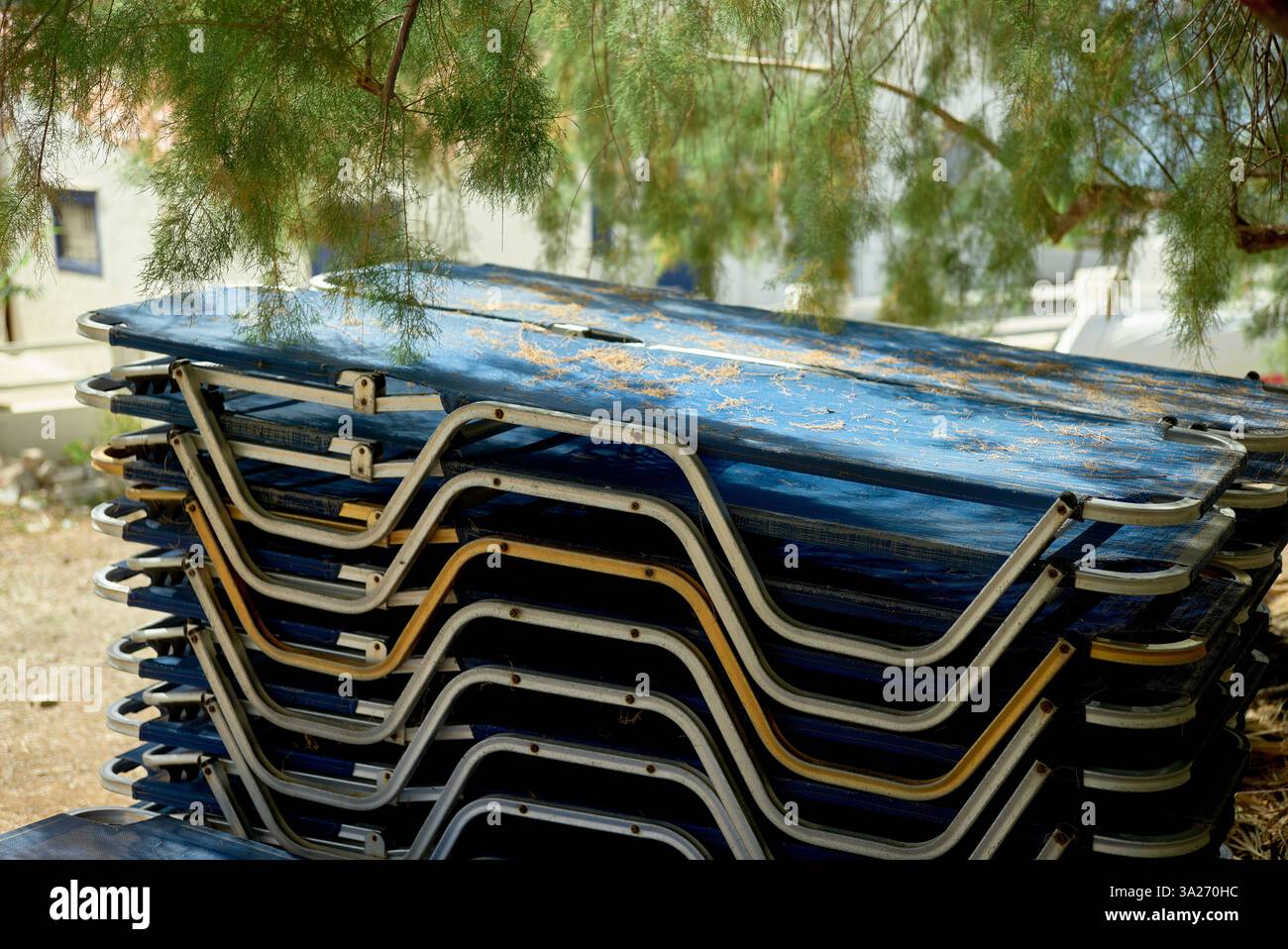 Une pile de chaises longues pliantes bleues sous un arbre avec des aiguilles de pin éparpillées. Grèce Banque D'Images