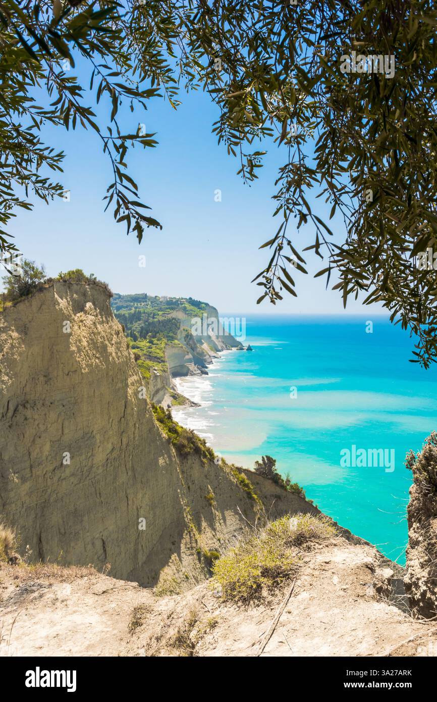 Vue panoramique à travers les branches d'oliviers des falaises de grès blanc du cap Drastis sur l'île de Corfou, Grèce Banque D'Images