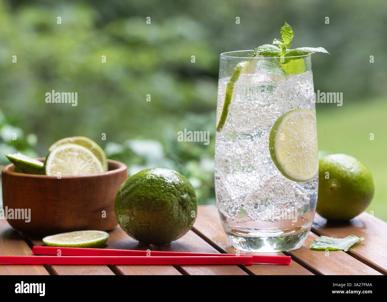 Verre d'eau pétillante avec des tranches de citron vert et des feuilles de menthe à l'extérieur sur une table en bois avec un fond de nature Banque D'Images
