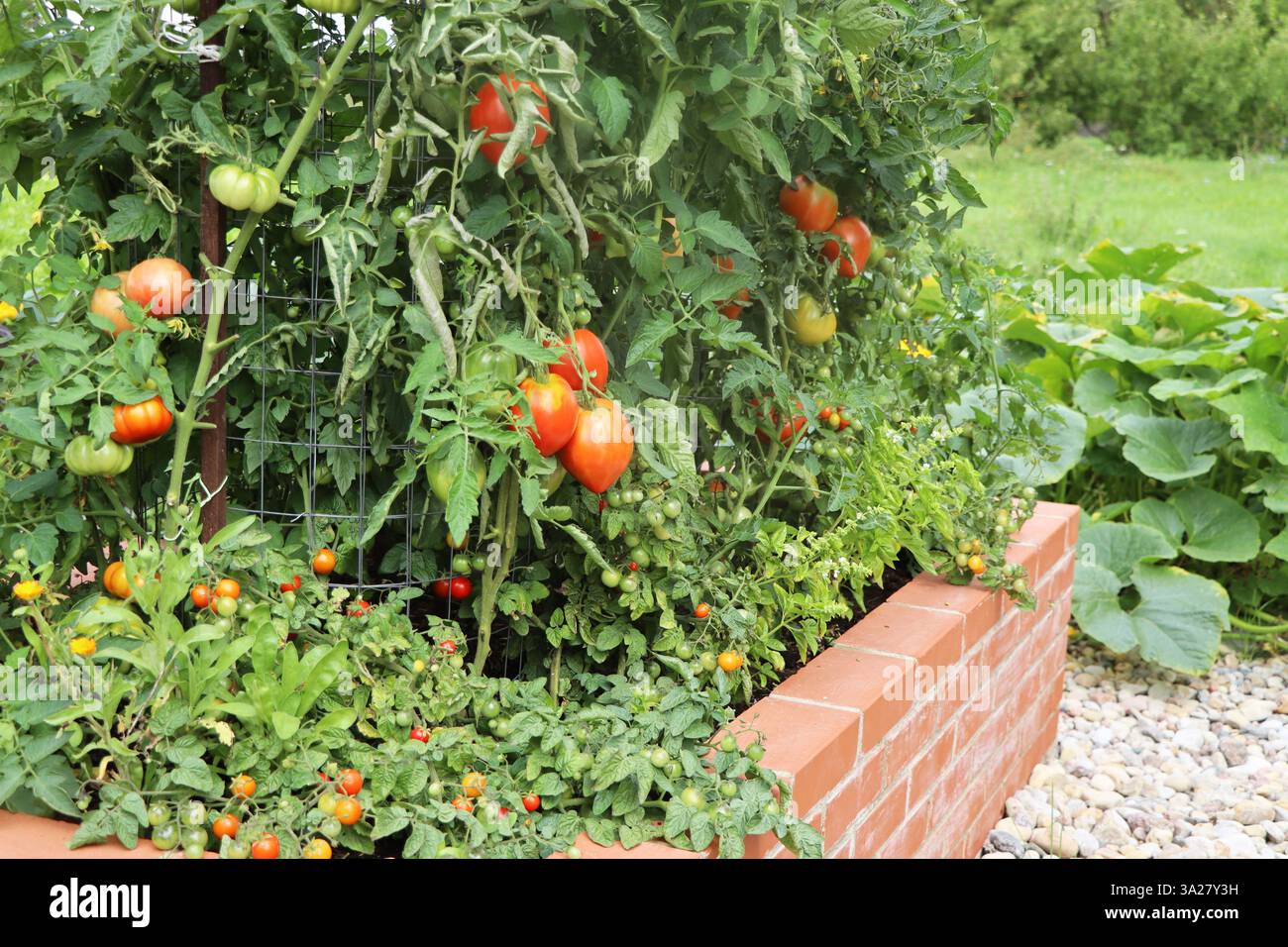 Un potager moderne avec lit en briques surélevées Banque D'Images