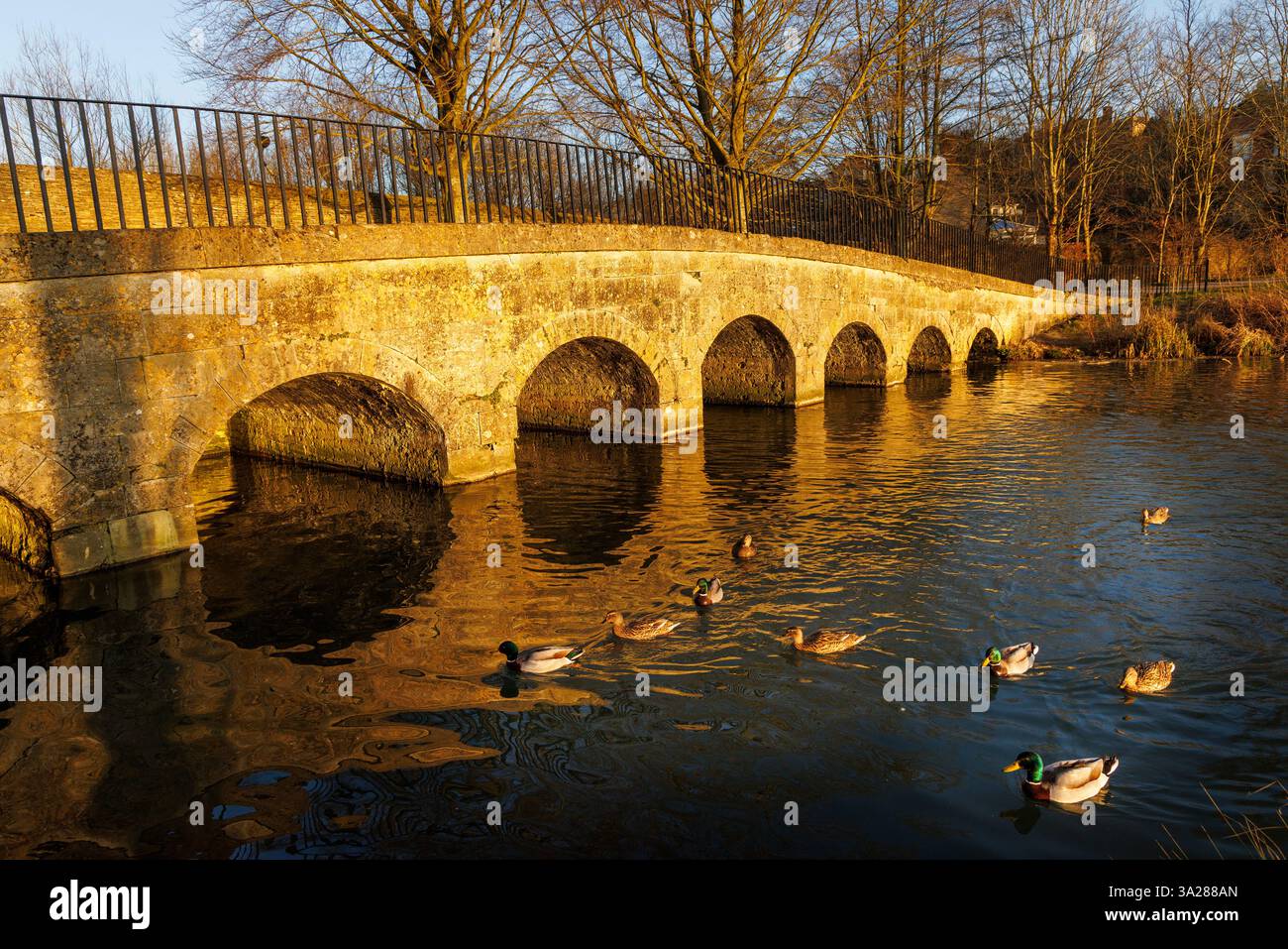 Pont voûté sur la rivière Glyume, entrée du lac au palais de Blenheim, Woodstock, Oxfordshire, Angleterre, Royaume-Uni Banque D'Images