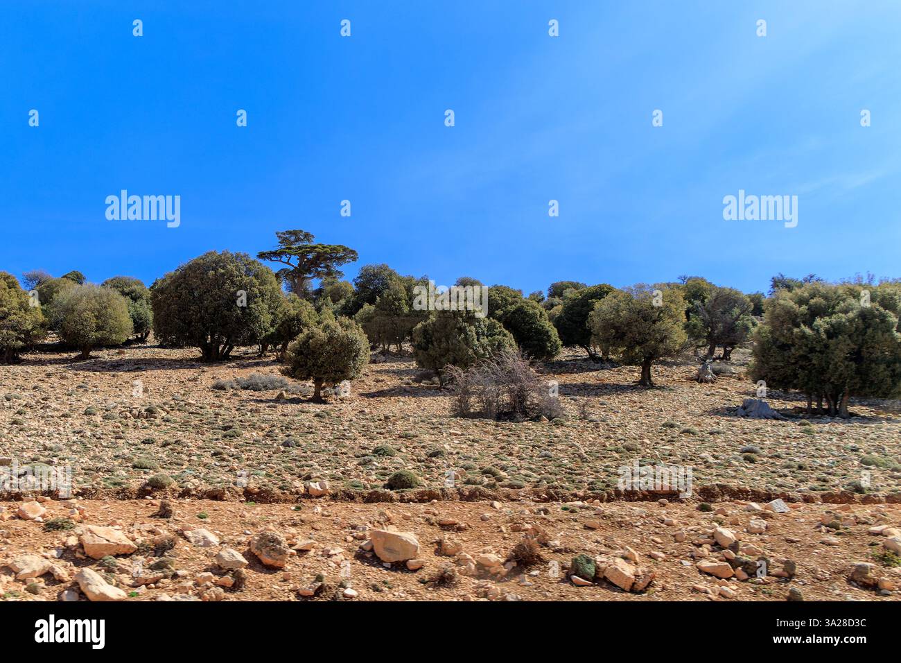 Les montagnes de l'Atlas sont un vaste système montagneux du nord-ouest de l'Afrique, qui s'étend de la côte atlantique du Maroc Banque D'Images Les montagnes de l'Atlas sont un vaste système montagneux du nord-ouest de l'Afrique, qui s'étend de la côte atlantique du Maroc Banque D'Images