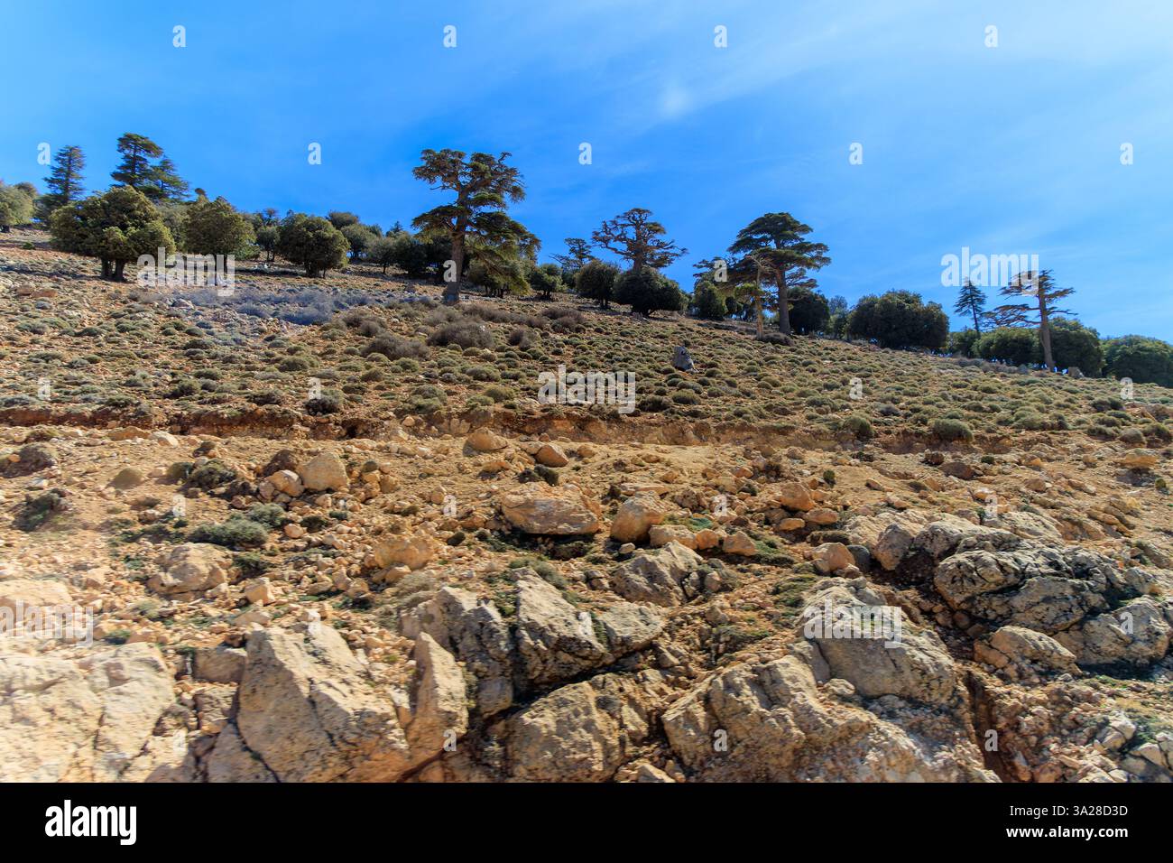 Les montagnes de l'Atlas sont un vaste système montagneux du nord-ouest de l'Afrique, qui s'étend de la côte atlantique du Maroc Banque D'Images Les montagnes de l'Atlas sont un vaste système montagneux du nord-ouest de l'Afrique, qui s'étend de la côte atlantique du Maroc Banque D'Images