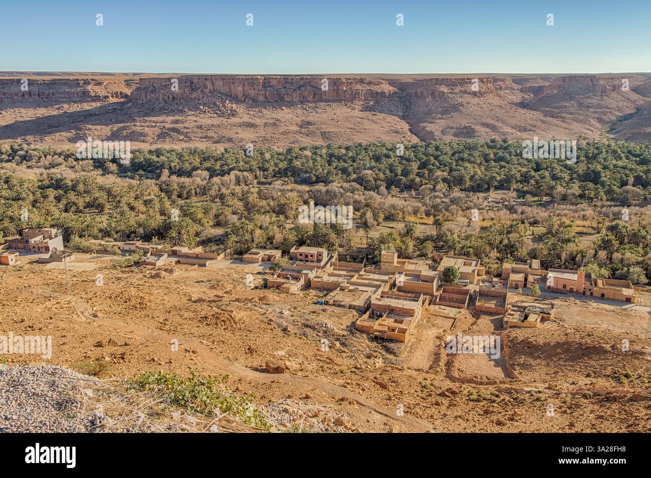 Oasis dans la vallée de la rivière Ziz sur le bord sud des montagnes de l'Atlas Banque D'Images