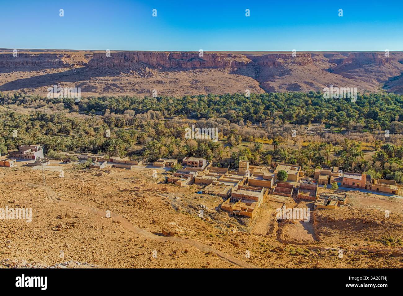 Oasis dans la vallée de la rivière Ziz sur le bord sud des montagnes de l'Atlas Banque D'Images