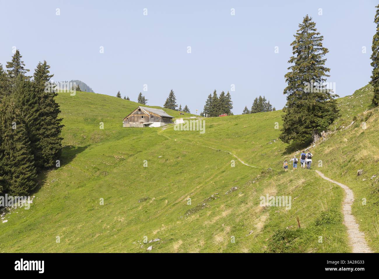 Sentier de randonnée sur le Gulmen jusqu'à la ferme alpine de Furgglen, Amden, tous Gallen, Suisse, Europe Banque D'Images