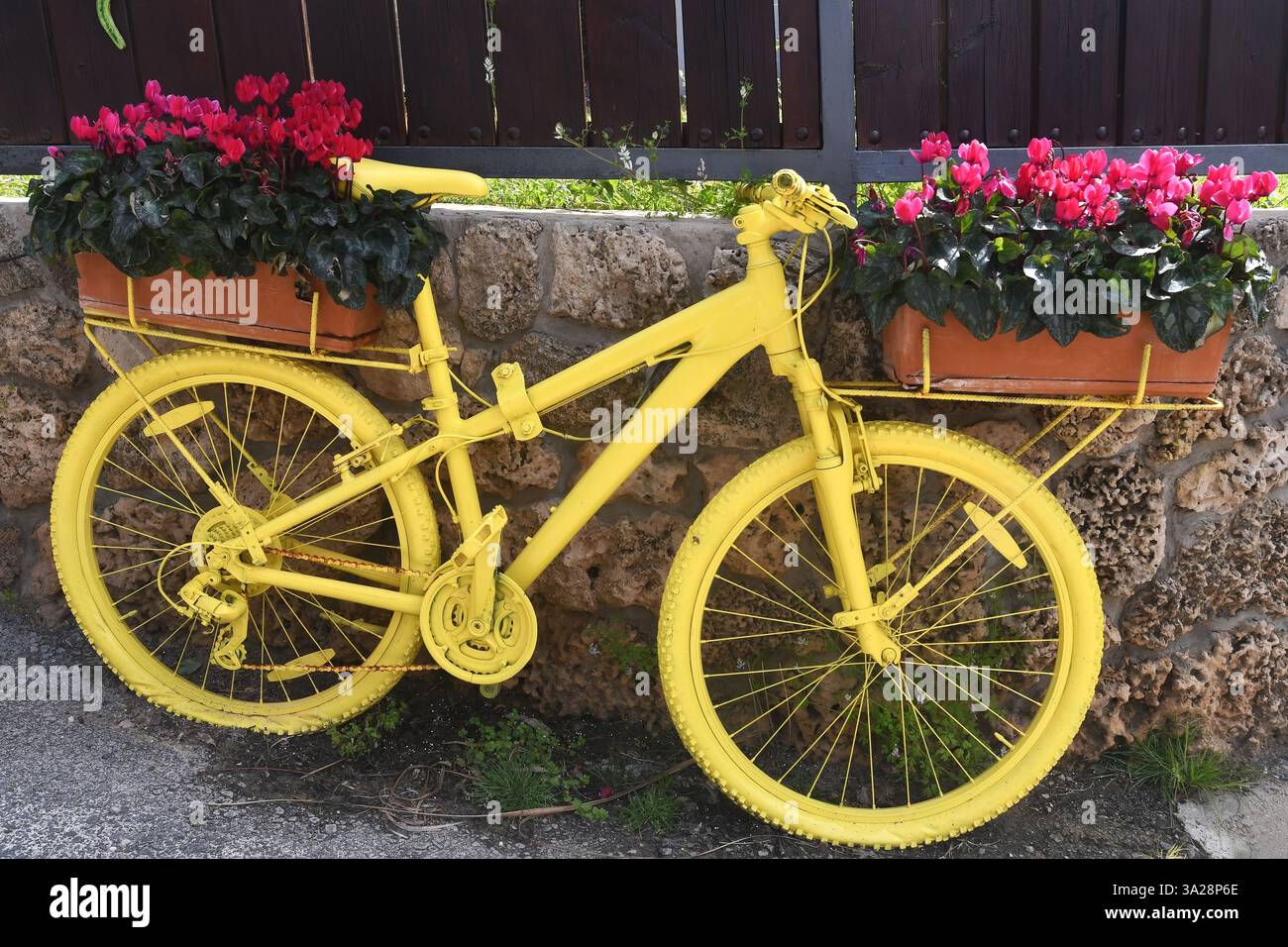 vélo équipé de pots de fleurs pleins de fleurs Banque D'Images