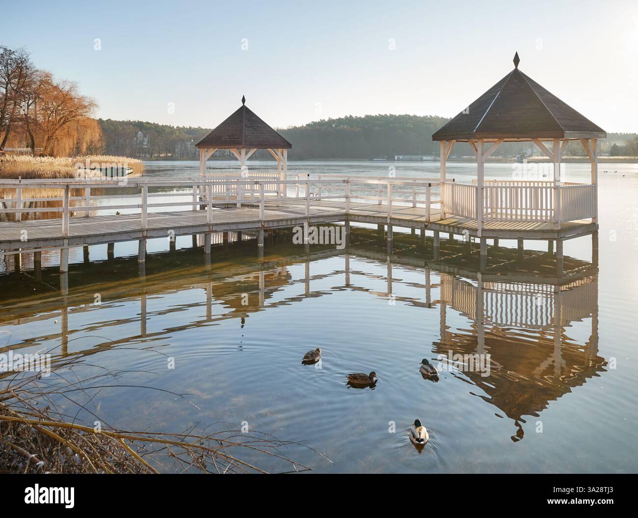 Promenade du lac Barlinek, Voïvodie de Poméranie occidentale, Pologne. Banque D'Images