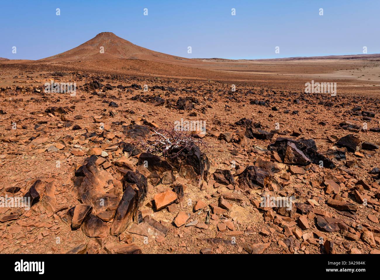 Palmwag Conservacy - paysage stérile en Namibie Banque D'Images