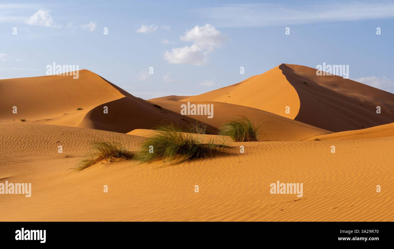 Vue du désert du Sahara au Maroc, Afrique. Le désert du Sahara est le plus grand désert chaud du monde. Banque D'Images