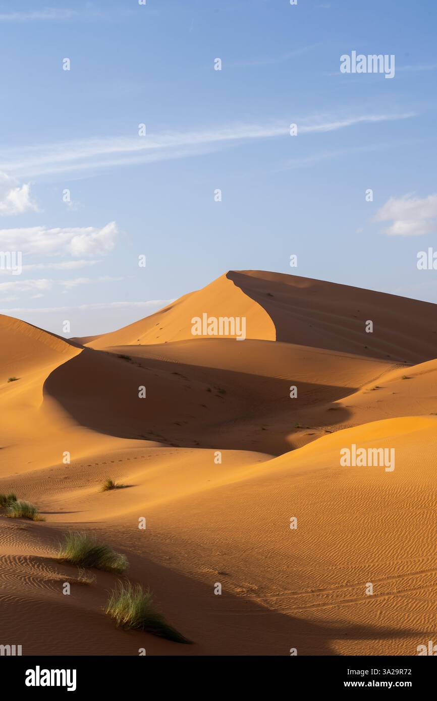 Vue du désert du Sahara au Maroc, Afrique. Le désert du Sahara est le plus grand désert chaud du monde. Banque D'Images