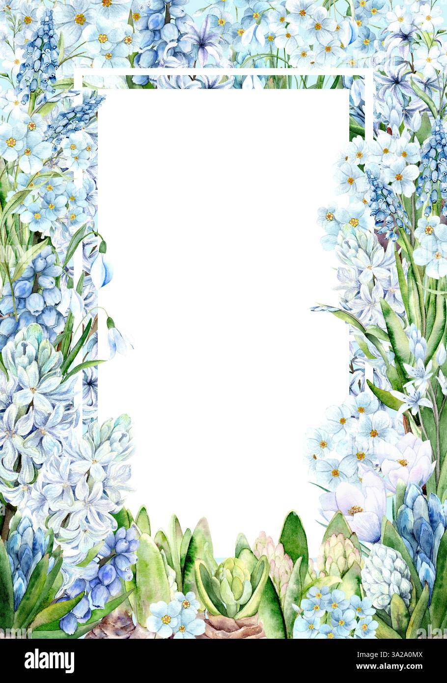Illustration aquarelle de cadre de printemps avec jacinthes blanches et bleues, proles, muscari et autres fleurs. Design floral délicat avec de la verdure, parfait pour les invitations de mariage et de vacances, les cartes et les décorations. Cadre fini au format A4. Banque D'Images