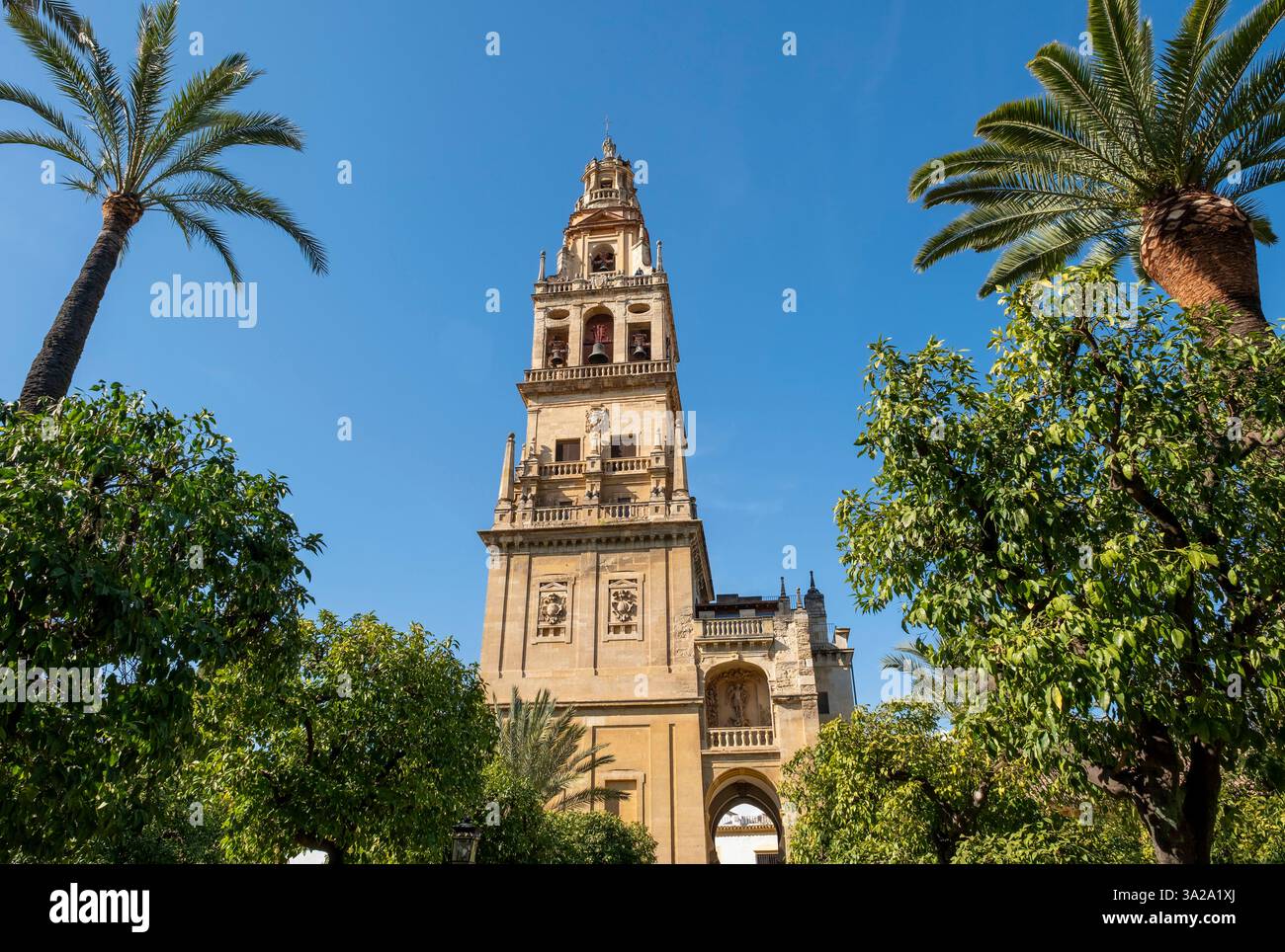 Vue de la mosquée - clocher de la cathédrale, ville de Cordoue, Andalousie, Espagne. Banque D'Images