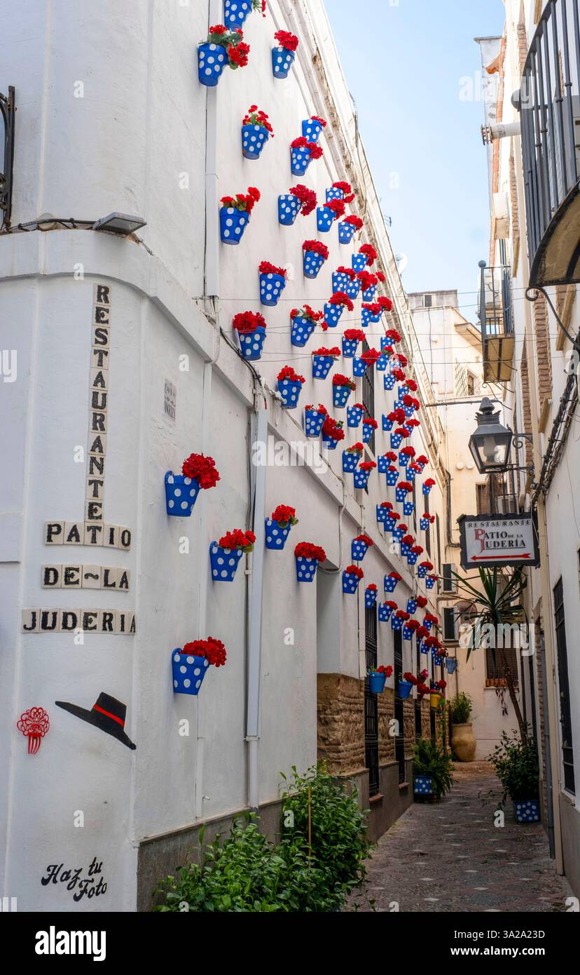 Des pots de fleurs colorés décorent les murs du Patio de-la Juderia, Cordoue, Andalousie, Espagne Banque D'Images