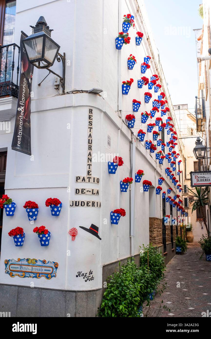 Des pots de fleurs colorés décorent les murs du Patio de-la Juderia, Cordoue, Andalousie, Espagne Banque D'Images
