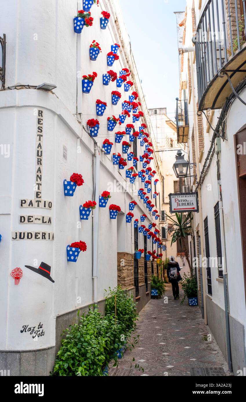 Des pots de fleurs colorés décorent les murs du Patio de-la Juderia, Cordoue, Andalousie, Espagne Banque D'Images