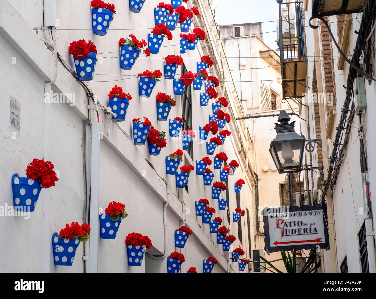 Des pots de fleurs colorés décorent les murs du Patio de-la Juderia, Cordoue, Andalousie, Espagne Banque D'Images