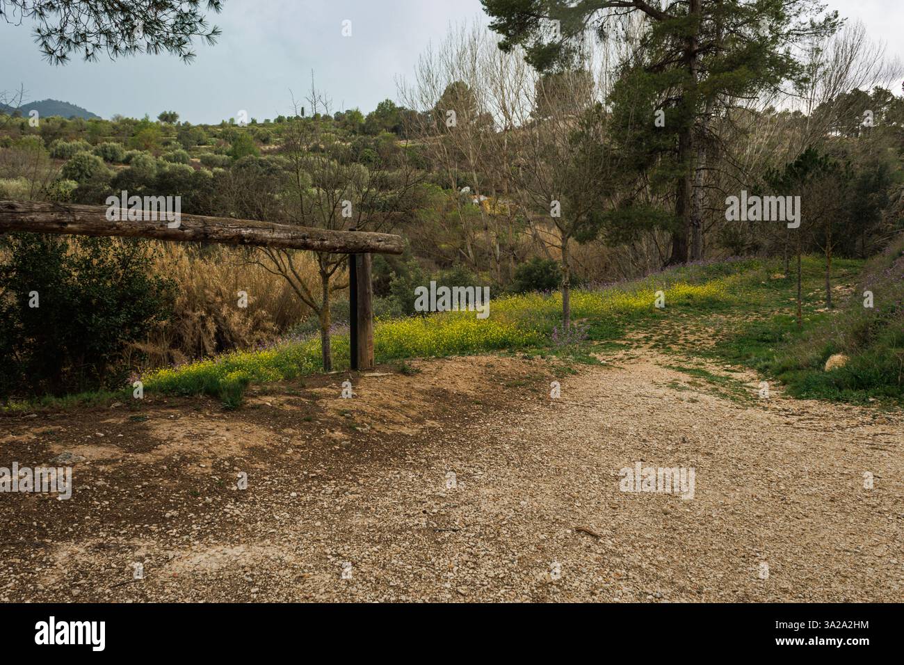 Sentier humide après la pluie sur la route du Salt del Moli, Benilloba, Espagne Banque D'Images