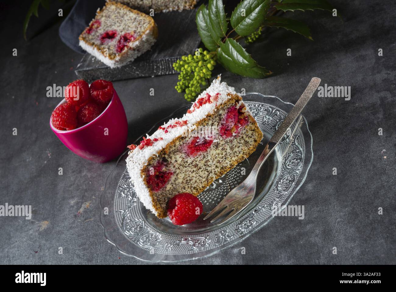 Gâteau aux graines de pavot aux framboises et à la noix de coco desséchée Banque D'Images