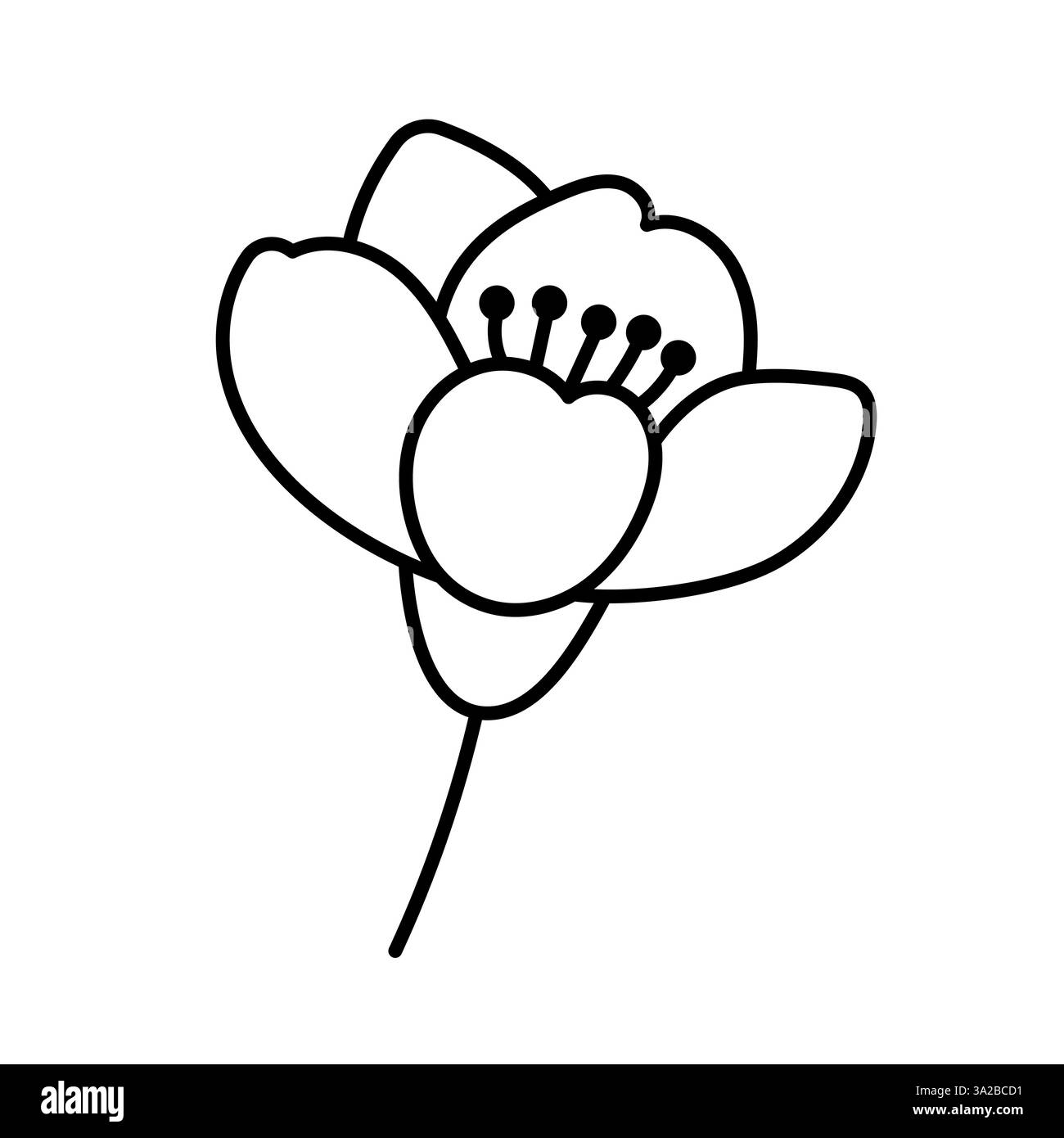 Fleur de cerisier. Illustration de contour. Griffonner. Fleur de cerise dessinée à la main isoler sur blanc. Icône de bourgeon Sakura. Illustration de Vecteur