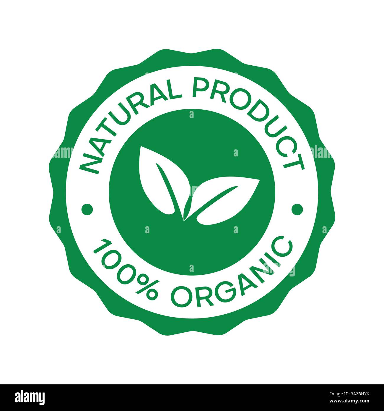 Soins biologiques et beauté naturelle : un guide complet des produits à base de plantes Illustration de Vecteur