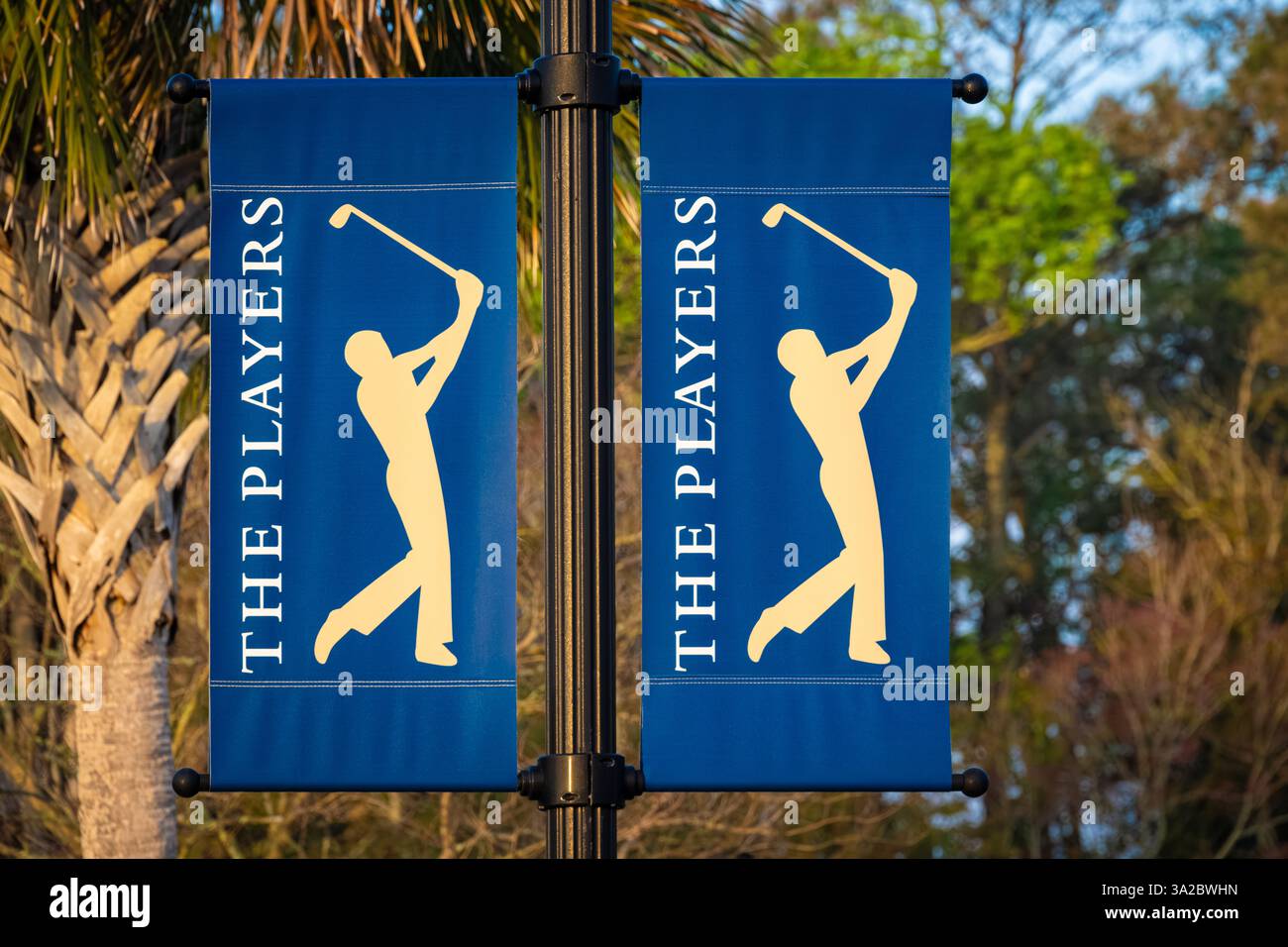 Bannières lampadaires pour LE Championnat PLAYERS Golf au TPC Sawgrass à Ponte Vedra Beach, Floride. (ÉTATS-UNIS) Banque D'Images