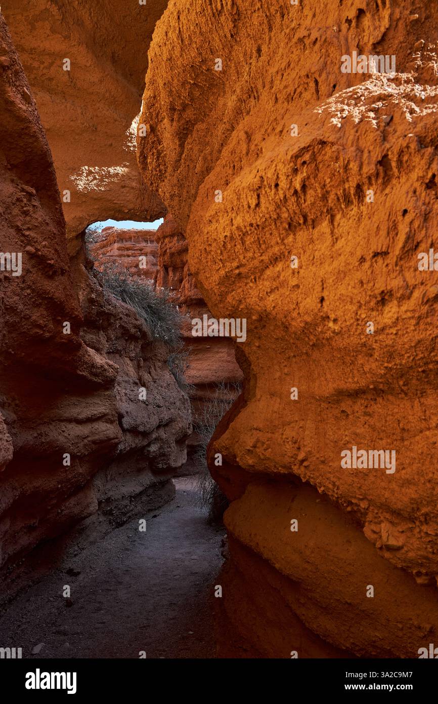 Chemin étroit à l'intérieur du canyon, sentier de randonnée, entouré de rochers de grès rouge Banque D'Images