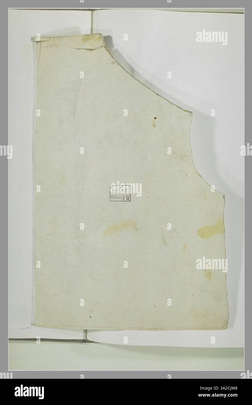 Cette pièce présente une étude d'un tronc de palmier, avec une attention particulière à sa texture et sa structure. Le dessin met en évidence les détails naturels de l'arbre. Banque D'Images