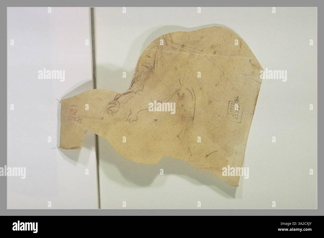 Ce dessin montre la tête d'un cheval en profil, tournée vers la gauche. L’artiste souligne les contours et la structure anatomique du visage du cheval. Banque D'Images