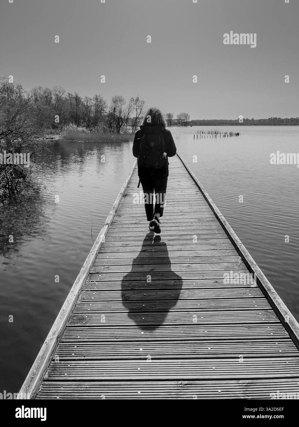 Explorez une passerelle en bois sereine au-dessus des eaux calmes du lac Biscarosse en plein jour, entourée de verdure luxuriante et de roseaux Banque D'Images