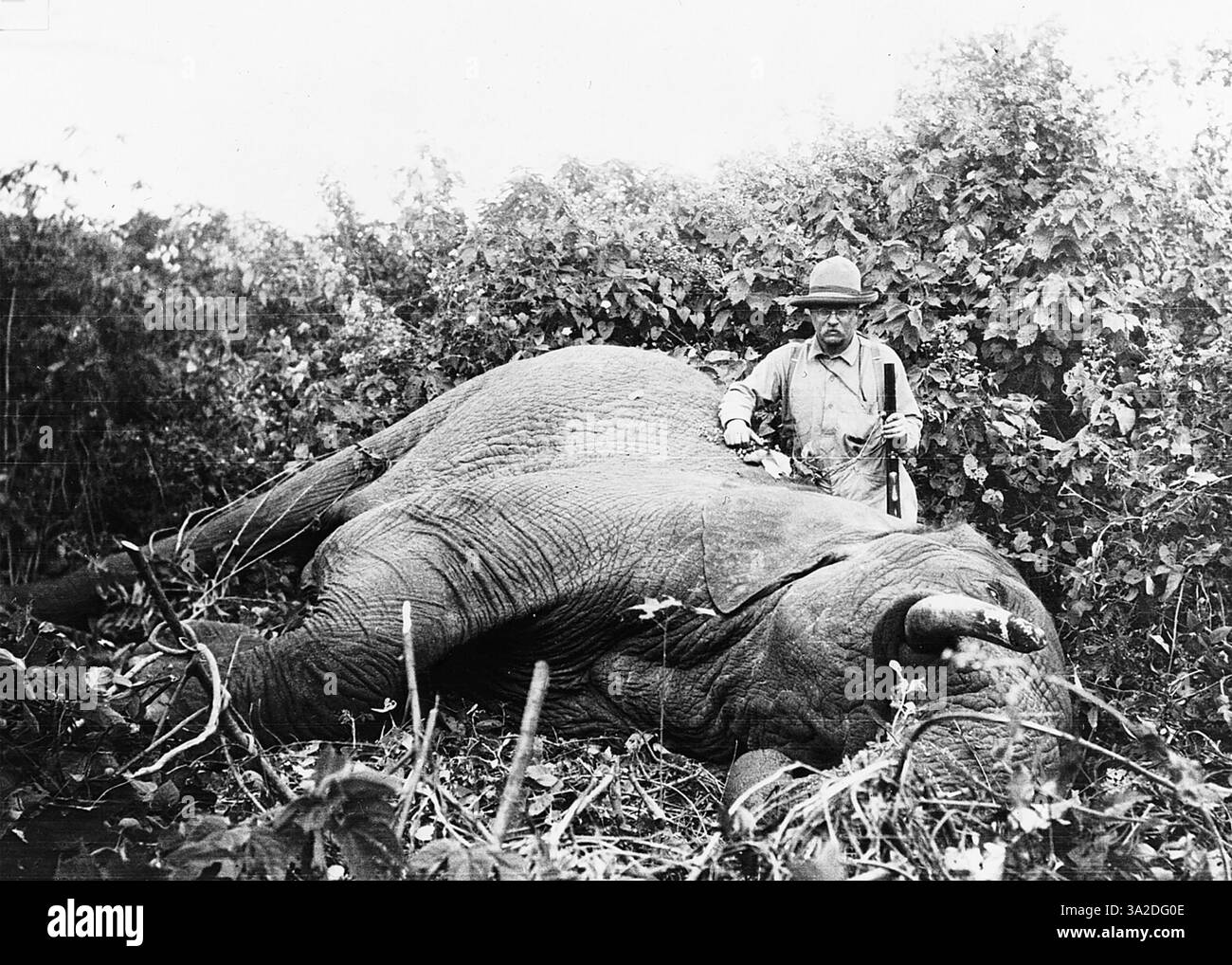 THEODORE ROOSEVELT (1858-1919) en voyage de chasse au Kenya vers 1909 peu après avoir quitté le poste de président des États-Unis Banque D'Images
