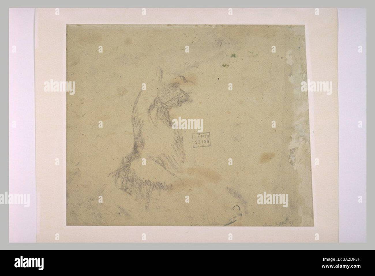 L'étude du cheval par Chassériau, centrée sur sa structure anatomique et sa forme. Le dessin met en évidence la capacité de l’artiste à rendre l’anatomie animale de manière détaillée et réaliste. Banque D'Images