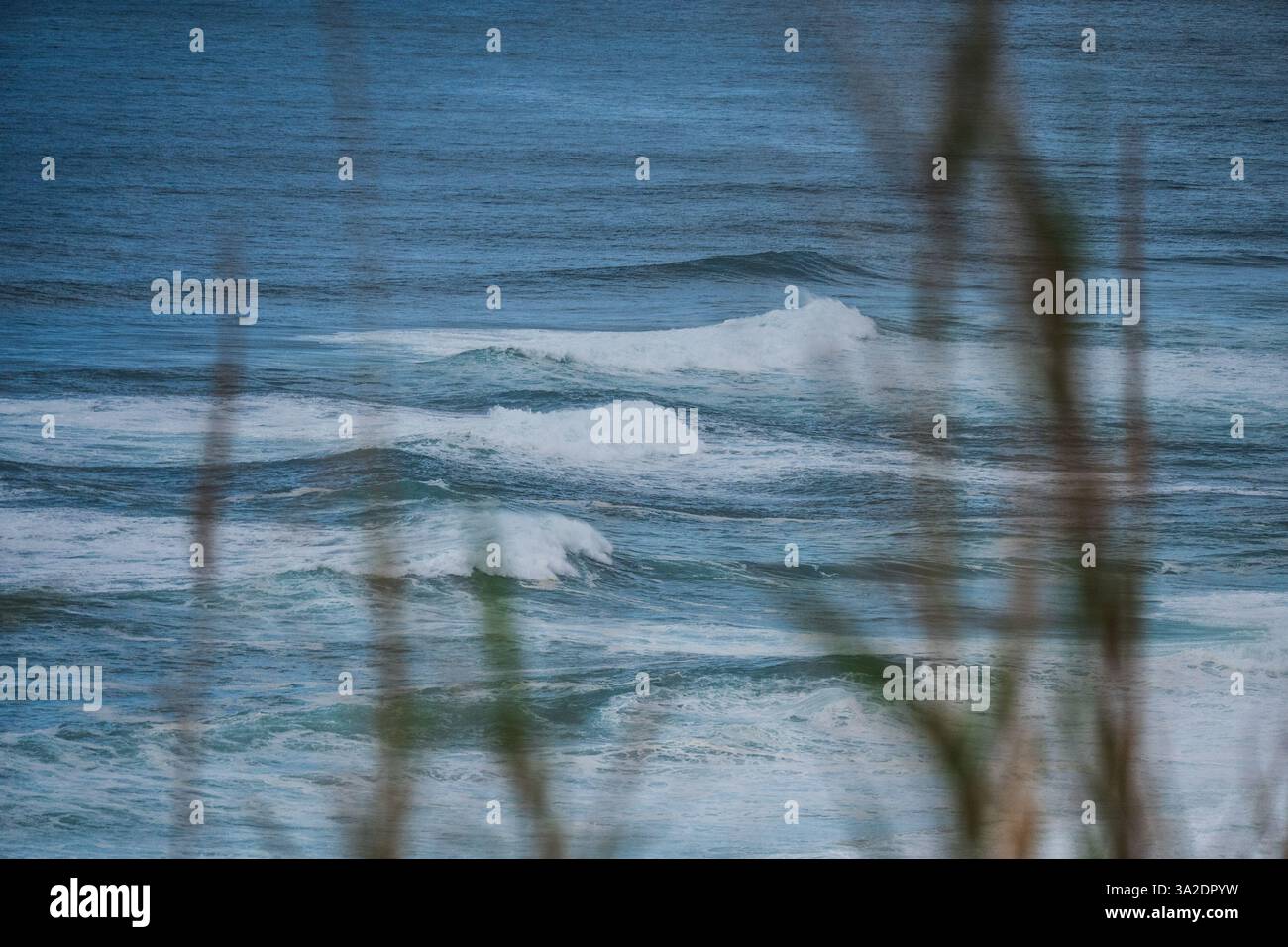 Praia do Norte (North Beach), inscrite au Guinness World Records pour les plus grosses vagues jamais surfées, formée sous l'influence du Nazare Canyon, Banque D'Images