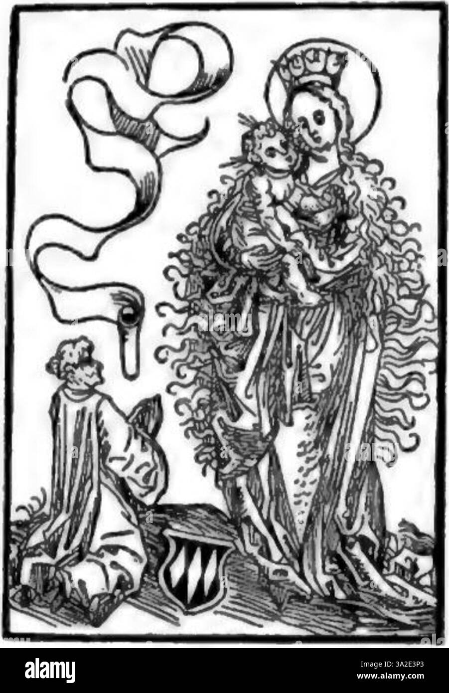 Cette gravure de Dürer démontre sa capacité à représenter les détails fins et la texture à travers un travail au trait et un ombrage habile, typique de son style de la Renaissance du Nord. Banque D'Images