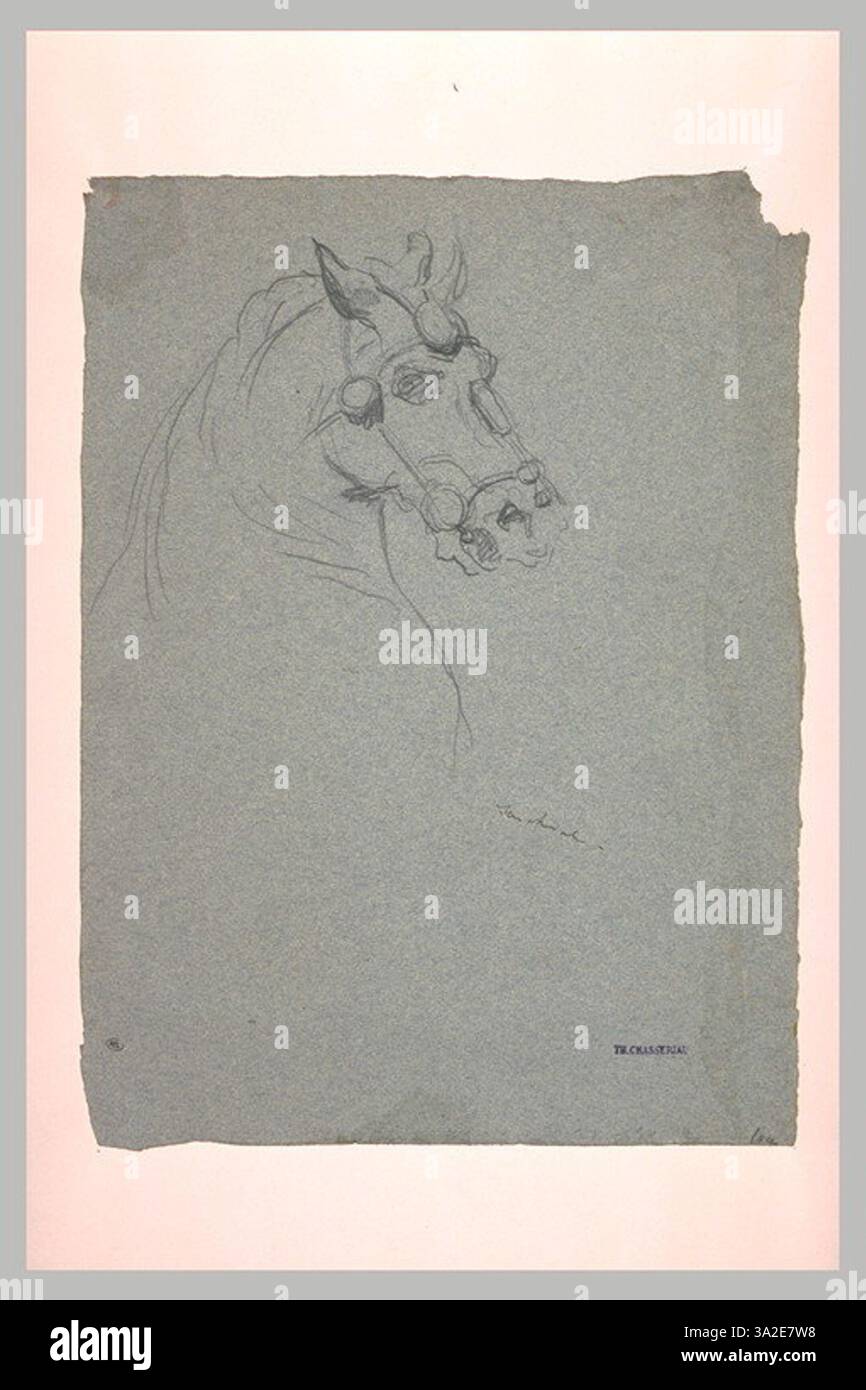 Ce dessin présente la tête d'un cheval, harnachée et représentée de profil face à droite. L'accent est mis sur l'équipement et l'anatomie de l'animal. Banque D'Images