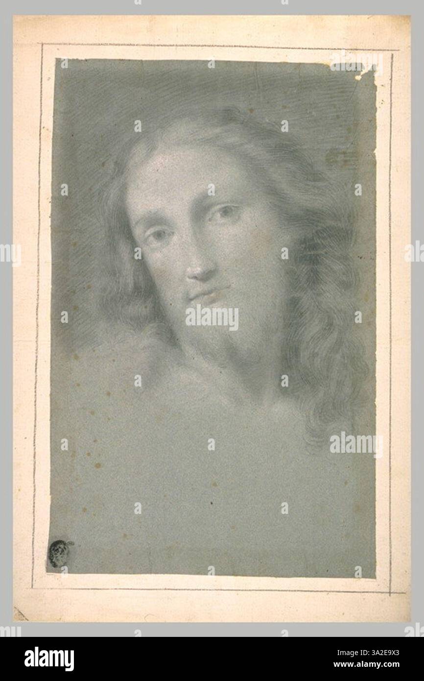 Cette étude présente la tête du Christ, dérivée des œuvres religieuses de Raphaël. La représentation souligne les traits spirituels et sereins du Christ, en accord avec la représentation de Raphaël des figures religieuses pendant la Renaissance. Banque D'Images