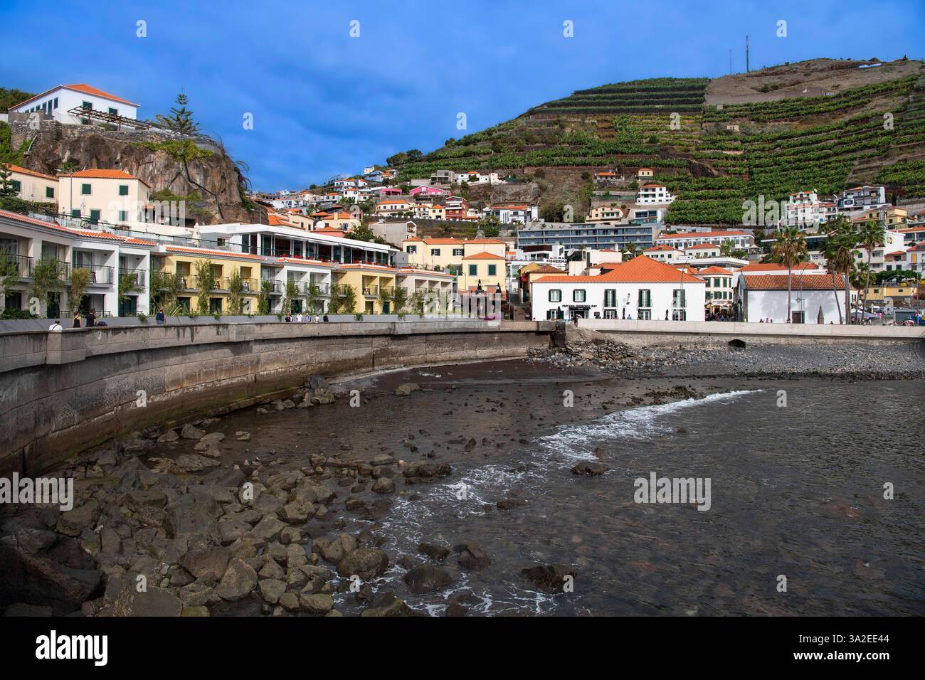 Port de Camara de Lobos, Portugal, Madère, Funchal Banque D'Images