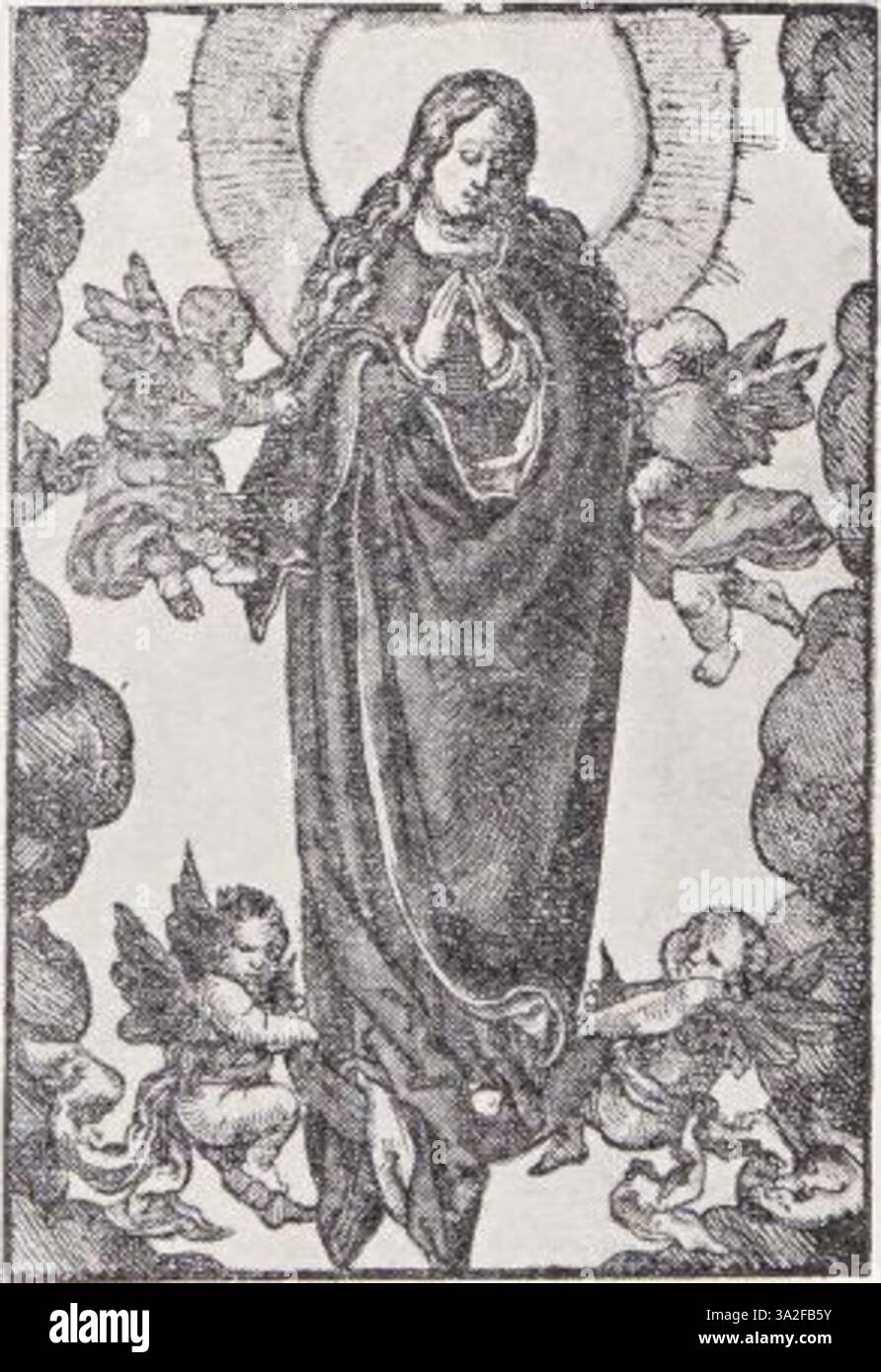 Dans Hollstein 031, la gravure de Lucas van Leyden capture des sujets bibliques avec une clarté saisissante et une résonance émotionnelle, typique de sa maîtrise de la gravure de la Renaissance du Nord. Banque D'Images