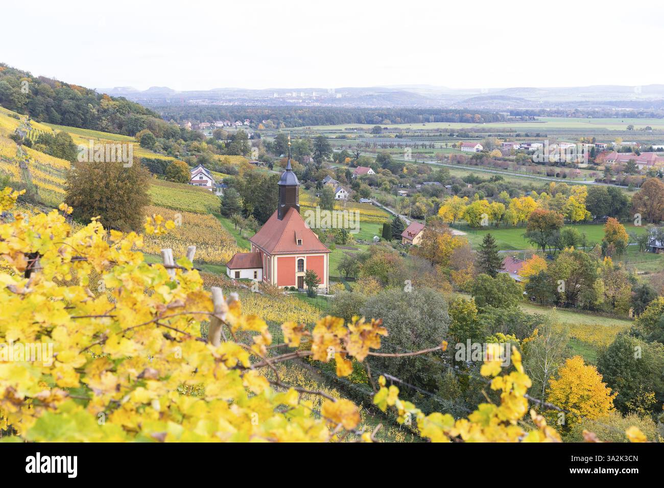 Église viticole Zum Heiligen Geist au milieu des vignobles aux couleurs d'automne de Pillnitz, Dresde, Saxe, Allemagne, Europe Banque D'Images