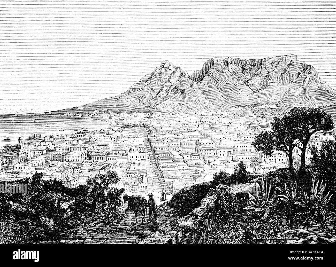 Vue sur la ville du Cap avec table Mountain, baie avec des navires, nature, Algarves, cheval, ouvrier, Afrique du Sud, illustration historique 1886, Afrique Banque D'Images