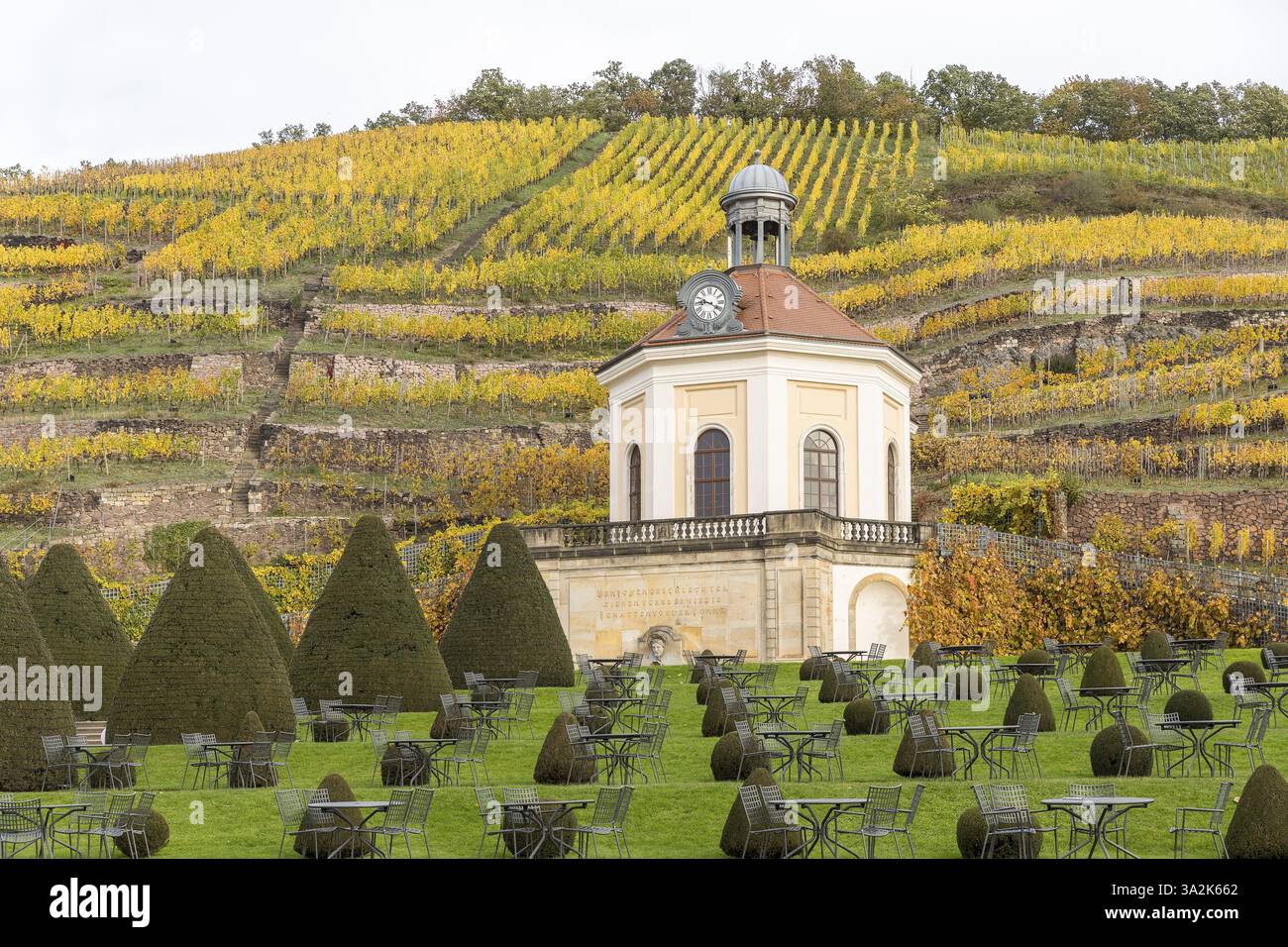 Belvédère du château de Wackerbarth avec Jacobstein et vignobles aux couleurs d'automne, Radebeul, Saxe, Allemagne, Europe Banque D'Images