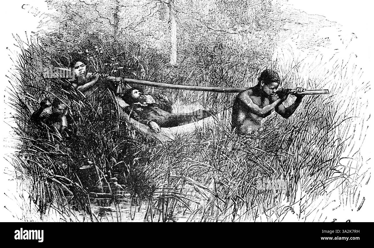 Deux natifs transportent l'explorateur malade David Livingstone dans une tipoja, un brancard avec un hamac, marécage, roseaux, difficultés, tropiques, Afrique, coloni Banque D'Images