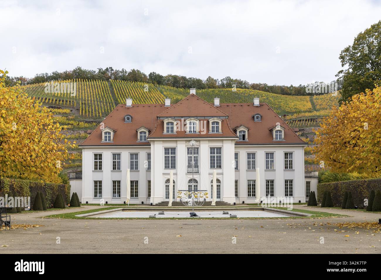 Château de Wackerbarth, derrière lui les vignobles en couleur feuillage automnal, Radebeul, Saxe, Allemagne, Europe Banque D'Images